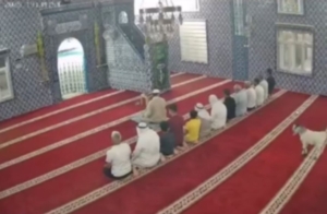 mardinde-camiyi-ziyaret-eden-oglak-guvenlik-kamerasinda-goruntulendi-czI2znLt.jpg