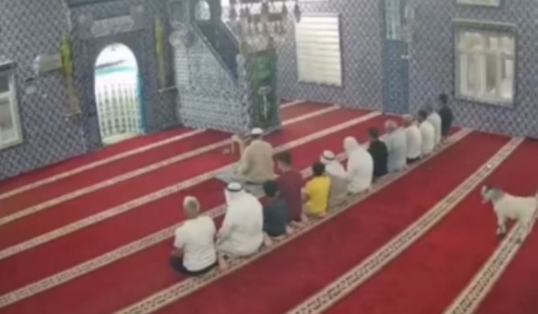 mardinde-camiyi-ziyaret-eden-oglak-guvenlik-kamerasinda-goruntulendi-czI2znLt.jpg