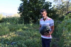 oltuda-essiz-yerlisi-karain-karpuzunun-hasat-zamani-HhQuugDR.jpg