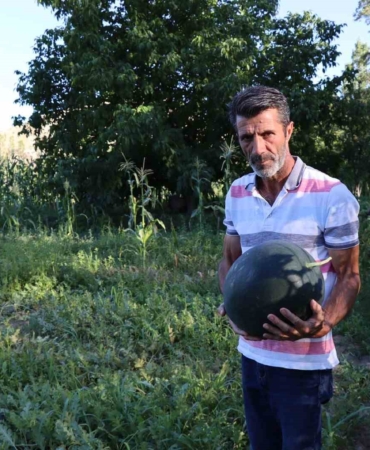 oltuda-essiz-yerlisi-karain-karpuzunun-hasat-zamani-HhQuugDR.jpg