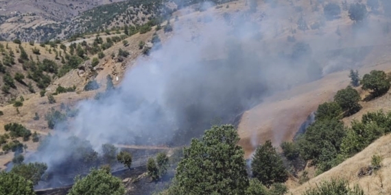 Pütürge'deki Orman Yangını: Doğa ve Yaşamı Tehdit Eden Olay Pütürge’deki Orman Yangını: Doğa ve Yaşamı Tehdit Eden Olay