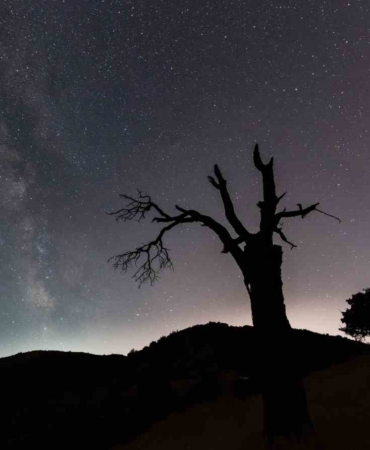 saglik-calisanindan-tarihi-harputta-essiz-meteor-yagmuru-fotograflari-wysssVcU.jpg
