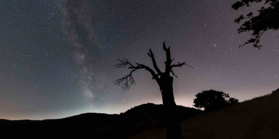 Sağlık Çalışanından Tarihi Harput'ta Eşsiz Meteor Yağmuru Fotoğrafları Sağlık Çalışanından Tarihi Harput’ta Eşsiz Meteor Yağmuru Fotoğrafları