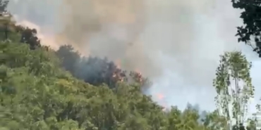 semdinlinin-orman-yangini-doganin-gozyaslari-KjHhYC3m.jpg