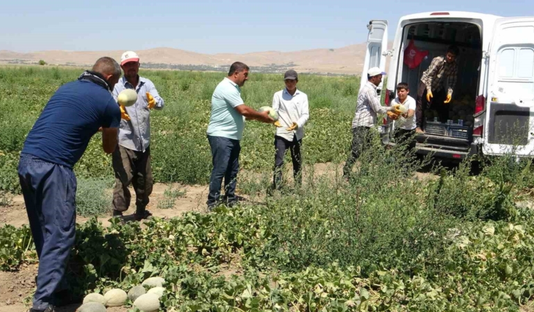 sihke-kavunu-hasadi-basladi-lezzetli-bir-geleneksel-urun-dka3mH1P.jpg