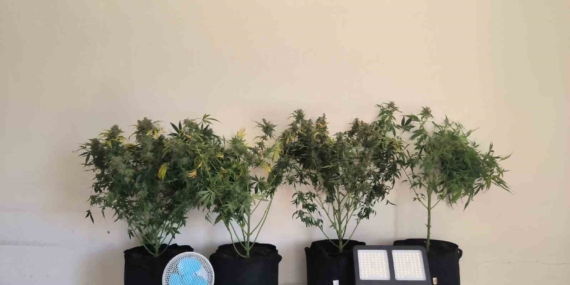 Tunceli'de Jandarma Uyuşturucu Operasyonları: 10 Şahıs Gözaltına Alındı Tunceli’de Jandarma Uyuşturucu Operasyonları: 10 Şahıs Gözaltına Alındı