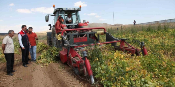 110 Bin Dekar Alanda Kuru Fasulye Hasadı Başladı 110 Bin Dekar Alanda Kuru Fasulye Hasadı Başladı
