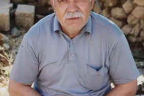 agactan-dusen-muhtarin-hayat-mucadelesi-sonuc-feci-oldu-5WeKlyW9.jpg