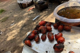 Ağrı'da Kışa Hazırlık Süreci Tüm Hızıyla Başladı agrida-kisa-hazirlik-sureci-tum-hiziyla-basladi-qHBgmaTO.jpg