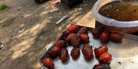 Ağrı'da Kışa Hazırlık Süreci Tüm Hızıyla Başladı Ağrı’da Kışa Hazırlık Süreci Tüm Hızıyla Başladı