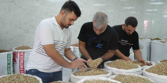 Antep Fıstığı İthalat İzni: Fiyatlar ve Satışlarda Düşüş Antep Fıstığı İthalat İzni: Fiyatlar ve Satışlarda Düşüş