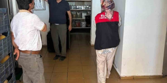 Arıcakta Gıda Üretim Yerlerine Yönelik Denetim Süreçleri Arıcakta Gıda Üretim Yerlerine Yönelik Denetim Süreçleri