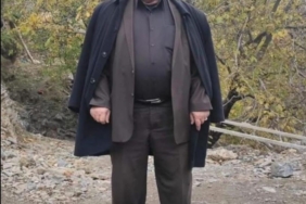 batmanda-agactan-dusen-eski-muhtarin-trajik-olumu-WAbxze2H.jpg