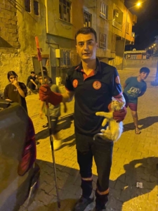 batmanda-pano-icinde-mahsur-kalan-kedilere-itfaiye-ekiplerinden-enerji-dolu-kurtarma-operasyonu-kTJZigtD.jpg