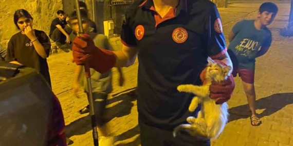 Batman'da Pano İçinde Mahsur Kalan Kedilere İtfaiye Ekiplerinden Enerji Dolu Kurtarma Operasyonu Batman’da Pano İçinde Mahsur Kalan Kedilere İtfaiye Ekiplerinden Enerji Dolu Kurtarma Operasyonu