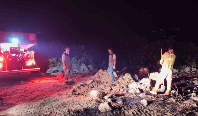 bingoldeki-orman-yanginlari-basariyla-kontrol-altina-alindi-4tmvRCeQ.jpg