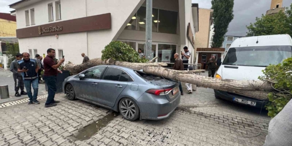 Diyadin'de Ağaç Devrildi: Araçta Hasar Oluştu! Diyadin’de Ağaç Devrildi: Araçta Hasar Oluştu!