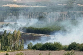 diyarbakir-hevsel-bahcelerinde-misir-tarlasinda-cikan-aniz-yangini-gqSd1rOl.jpg