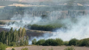 diyarbakir-hevsel-bahcelerinde-misir-tarlasinda-cikan-aniz-yangini-gqSd1rOl.jpg