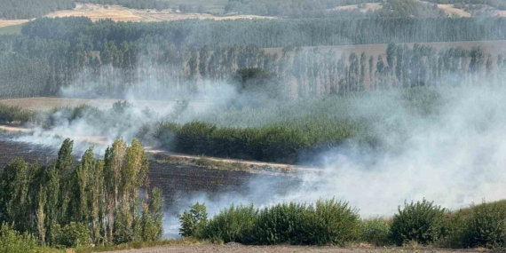 Diyarbakır Hevsel Bahçeleri'nde Mısır Tarlasında Çıkan Anız Yangını Diyarbakır Hevsel Bahçeleri’nde Mısır Tarlasında Çıkan Anız Yangını