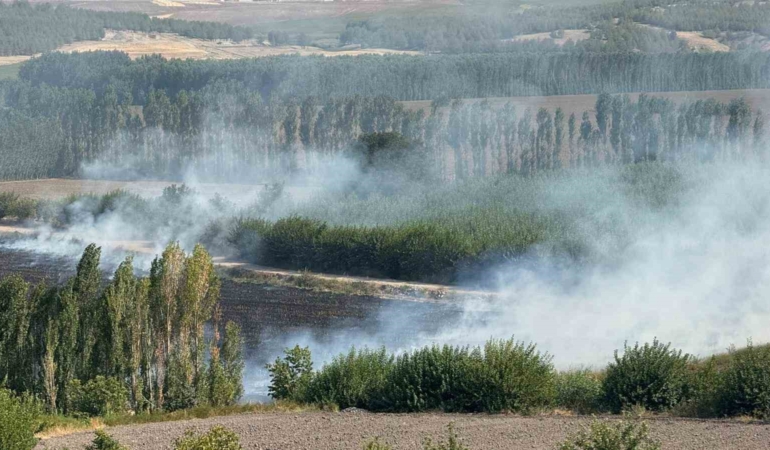 diyarbakir-hevsel-bahcelerinde-misir-tarlasinda-cikan-aniz-yangini-gqSd1rOl.jpg