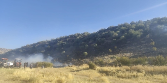 Diyarbakır'da Anız Yangını Ormanlık Alanı Tehdit Ediyor Diyarbakır’da Anız Yangını Ormanlık Alanı Tehdit Ediyor