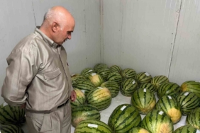 diyarbakirda-essiz-karpuz-yarismasi-icin-geri-sayim-basladi-jcwXSx3n.jpg