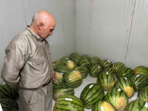 diyarbakirda-essiz-karpuz-yarismasi-icin-geri-sayim-basladi-jcwXSx3n.jpg