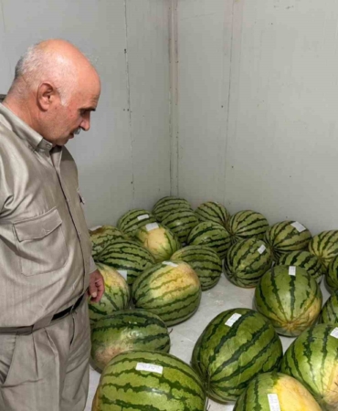 diyarbakirda-essiz-karpuz-yarismasi-icin-geri-sayim-basladi-jcwXSx3n.jpg