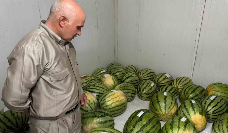 diyarbakirda-essiz-karpuz-yarismasi-icin-geri-sayim-basladi-jcwXSx3n.jpg