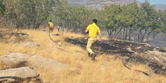 Diyarbakır'da Orman Yangını: Doğa Mühendisleri ve Yangınla Mücadele Çabaları Diyarbakır’da Orman Yangını: Doğa Mühendisleri ve Yangınla Mücadele Çabaları