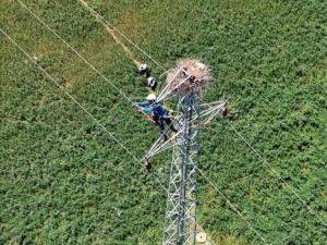 dogu-anadoluda-leylekler-ve-enerji-guvenliginin-saglanmasi-PYpNqZfh.jpg