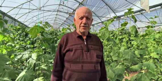Doğu Anadolu'nun En Büyük Serasında Süregelen Üretim Faaliyetleri Doğu Anadolu’nun En Büyük Serasında Süregelen Üretim Faaliyetleri