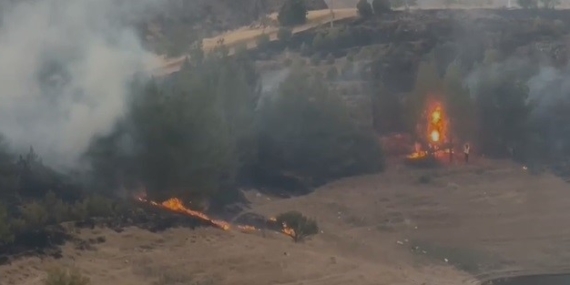 Elazığ Kırsalında Sıra Dışı Yangın: Doğa ve Ekosisteme Tehdit Elazığ Kırsalında Sıra Dışı Yangın: Doğa ve Ekosisteme Tehdit