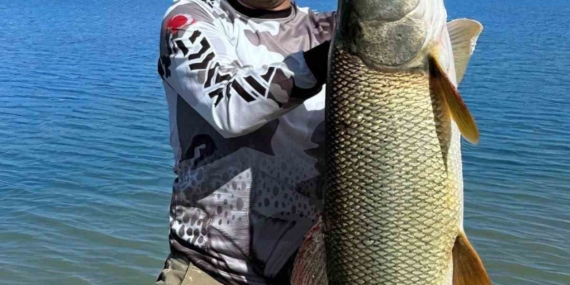 Elazığ’da 34 Kiloluk Dev Turna Avlandı! Şaşkınlık Yaratan Anlar