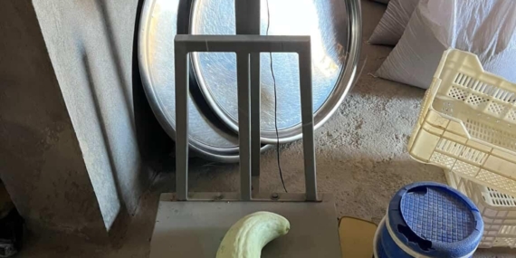 Elazığ'da 4,5 Kiloluk Dev Acur ile Hayret Verici Anlar Elazığ’da 4,5 Kiloluk Dev Acur ile Hayret Verici Anlar