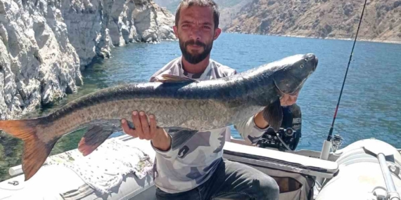 Elazığ'da Amatör Balıkçıdan Eşsiz Bir Av: 11 Kiloluk Dev Şabut Elazığ’da Amatör Balıkçıdan Eşsiz Bir Av: 11 Kiloluk Dev Şabut