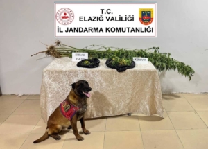 elazigda-uyusturucu-ile-mucadele-yeni-stratejiler-ve-basarilar-SJsZFJf4.jpg