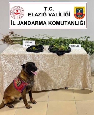 elazigda-uyusturucu-ile-mucadele-yeni-stratejiler-ve-basarilar-SJsZFJf4.jpg