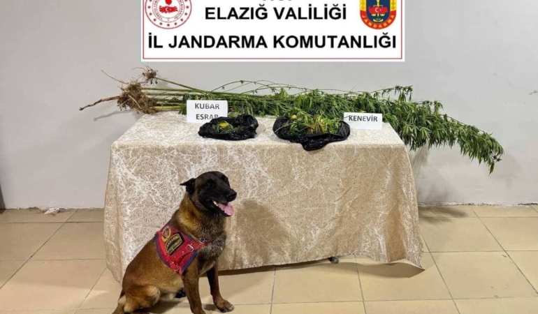 elazigda-uyusturucu-ile-mucadele-yeni-stratejiler-ve-basarilar-SJsZFJf4.jpg