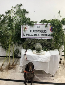elazigda-uyusturucu-ile-mucadelede-onemli-gelisme-tek-tutuklama-GKcnTP2q.jpg