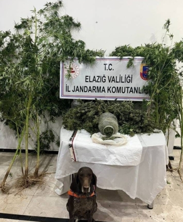 elazigda-uyusturucu-ile-mucadelede-onemli-gelisme-tek-tutuklama-GKcnTP2q.jpg
