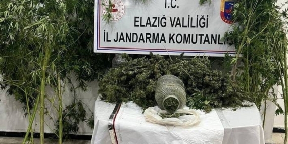 Elazığ'da Uyuşturucu ile Mücadelede Önemli Gelişme: Tek Tutuklama! Elazığ’da Uyuşturucu ile Mücadelede Önemli Gelişme: Tek Tutuklama!