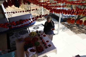 emekli-esinin-ardindan-koyde-yeni-bir-hayat-kurarak-aci-ile-tatliyi-birlestiren-girisimci-kadin-4Op8fb74.jpg