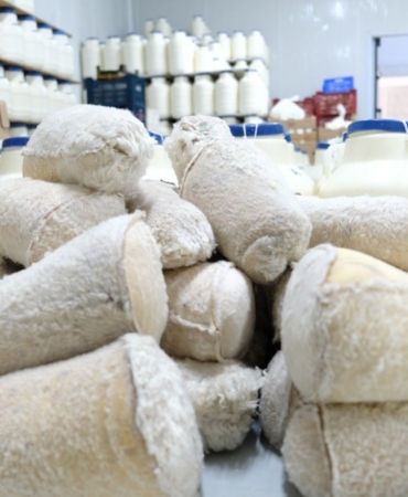 erzincan-tulum-peyniri-kahvalti-sofralariniza-3000-rakimin-lezzeti-XtWkzkT7.jpg