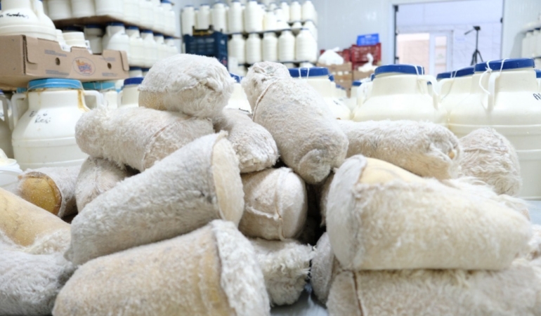 erzincan-tulum-peyniri-kahvalti-sofralariniza-3000-rakimin-lezzeti-XtWkzkT7.jpg