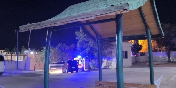 Gercüş'te Ağaçtan Düşen Adamın Durumu Ciddi! Gercüş’te Ağaçtan Düşen Adamın Durumu Ciddi!