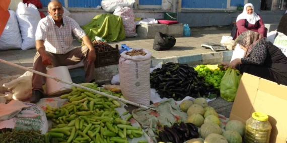 Gercüş’te Organik Ürün Bolluğu Fiyatları Düşürüyor