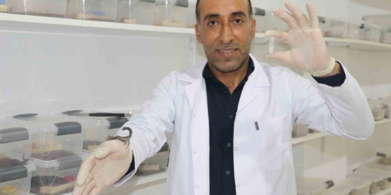 İnşaatçıdan Milyoner Olan Akrep Zehri Üreticisi: Gramı On Binlerce Dolar İnşaatçıdan Milyoner Olan Akrep Zehri Üreticisi: Gramı On Binlerce Dolar