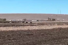 Kars’ta Domuz Sürülerinin Mısır Tarlalarına Saldırısı! karsta-domuz-surulerinin-misir-tarlalarina-saldirisi-eOeqKaWm.jpg